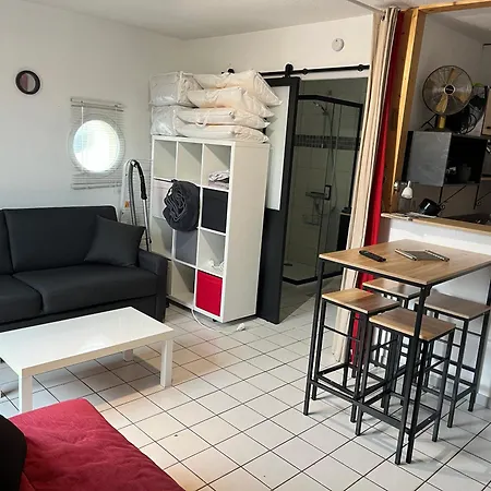 Studio Mimizan Plage Apartment *